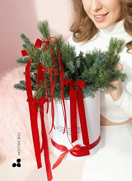 картинка Коробка новогодняя "Прага Ред" от магазина Одежда+